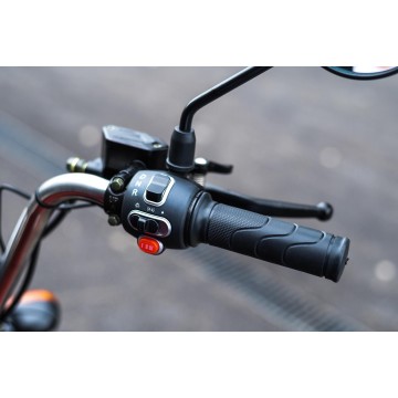 Elektrická nákladní tříkolka s kabinou Leramotors Cargo G1 1000W - Tuk Tuk Zelená